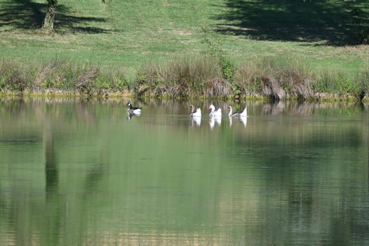 Domaine De Boulouch Hotel Lectoure Kültér fotó